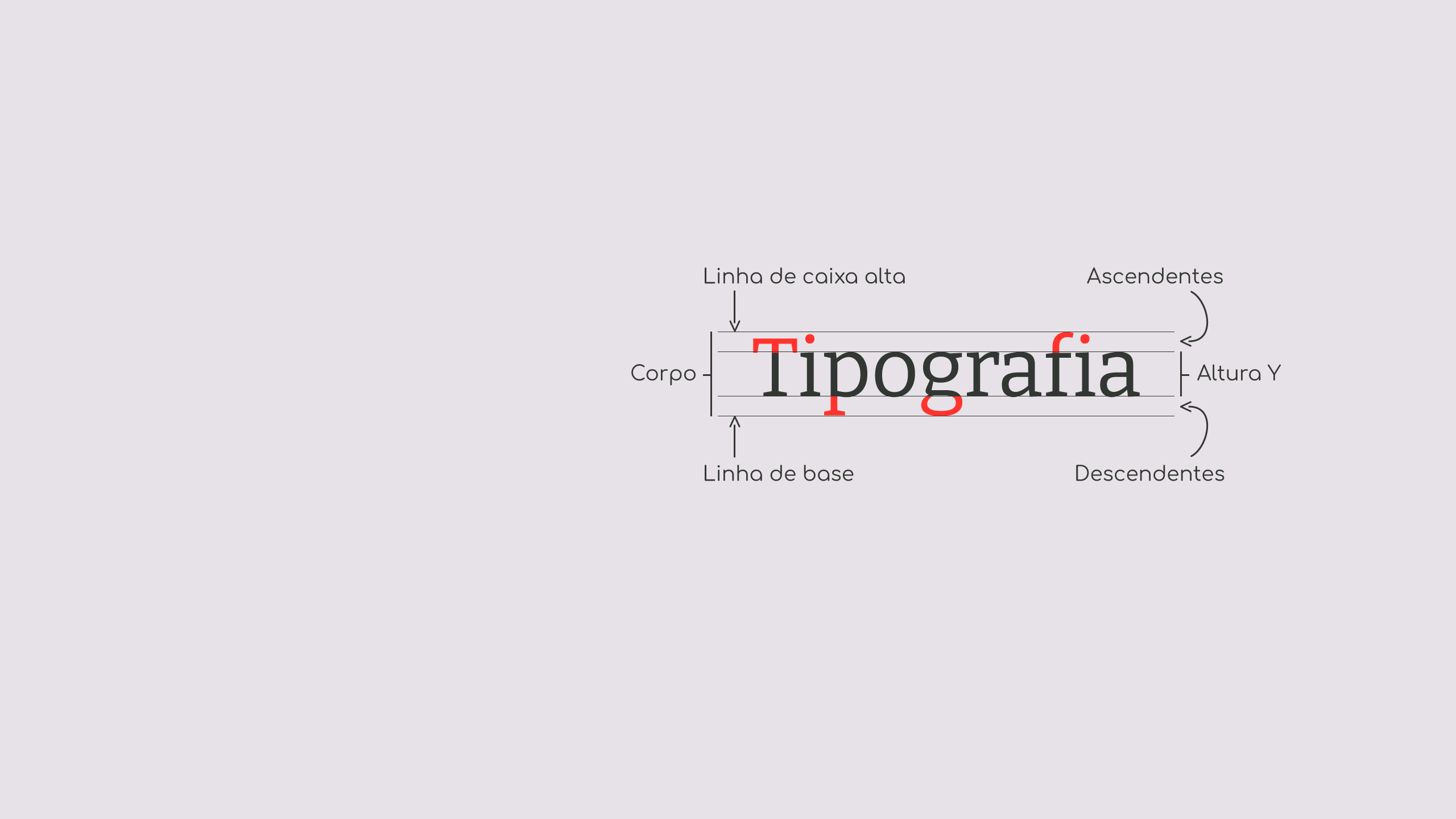 Tipografia