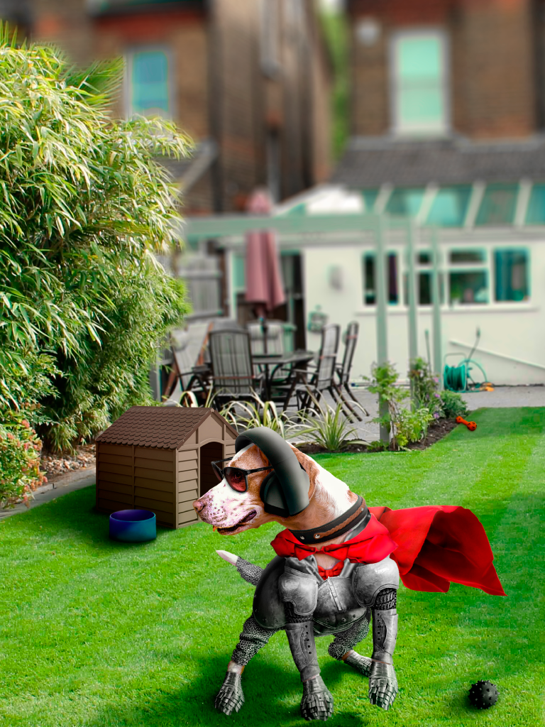 Cão Herói